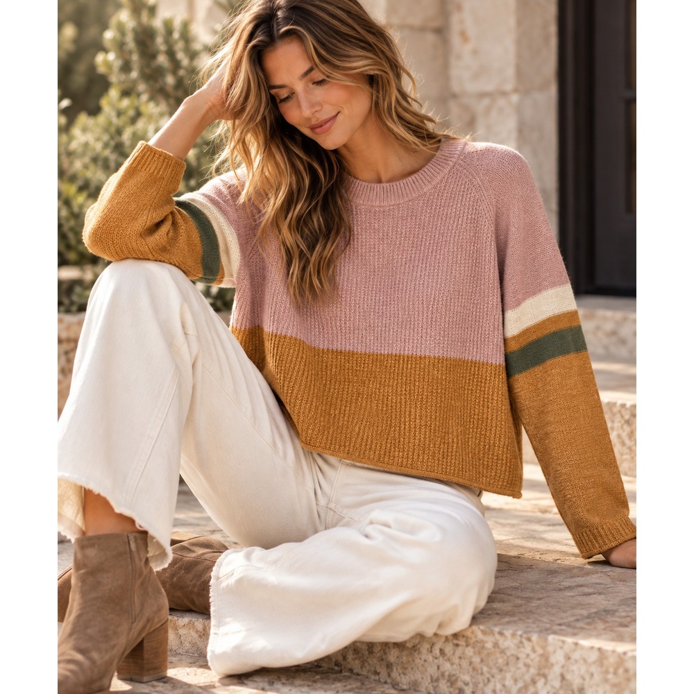 Madewell Knit Sweater Women Sz S Colorblock Cotton Merino Blend Boxy